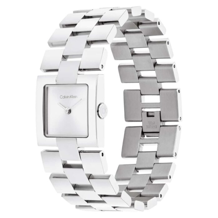 Calvin Klein Ck25100088 Kadın Kol Saati - Görsel 2