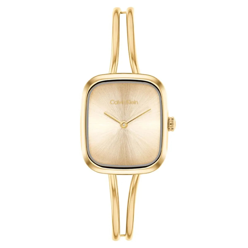 Calvin Klein Ck25100132 Kadın Kol Saati