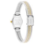 Calvin Klein Ck25100207 Kadın Kol Saati - Görsel 3