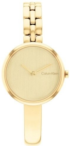 Calvin Klein Ck25200279 Kadın Kol Saati