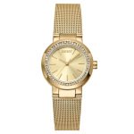Dkny Dk1L024M0025 Kadın Kol Saati