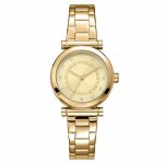 Dkny DK1L090M0065 Kadın Kol Saati
