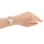 Dkny DK1L090M0065 Kadın Kol Saati - Görsel 4