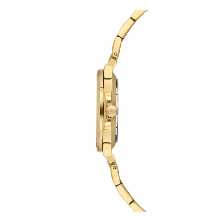 Nacar Nc33-398377-Dwm Kadın Kol Saati - Görsel 3